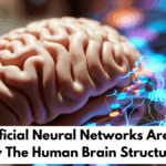 How Artificial Neural Networks Are Inspired By The Human Brain Structure