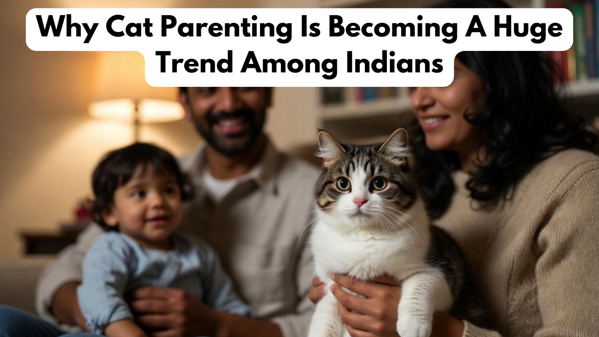 Why Cat Parenting Is Becoming A Huge Trend Among Indians